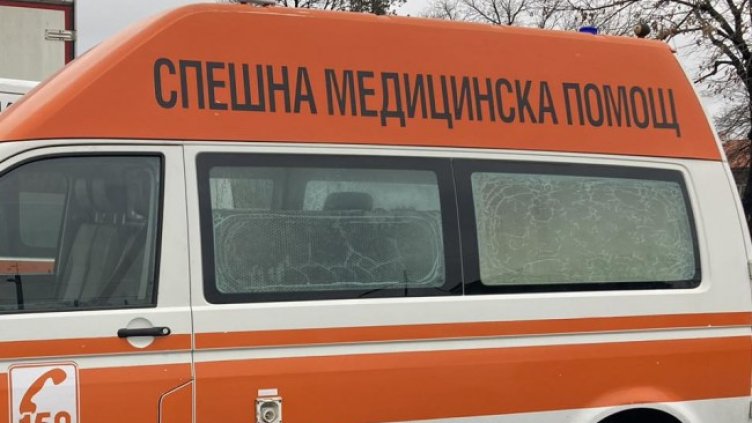 Снимка: архив, БГНЕС