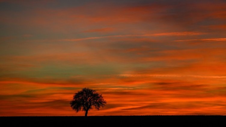Снимка: архив, БГНЕС