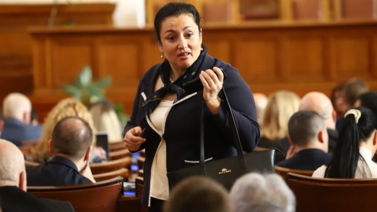 Снимка: БГНЕС