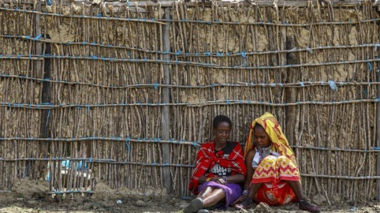 Снимка: архив, БГНЕС