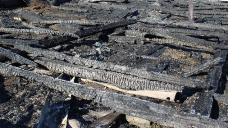 Снимка: БГНЕС, архив