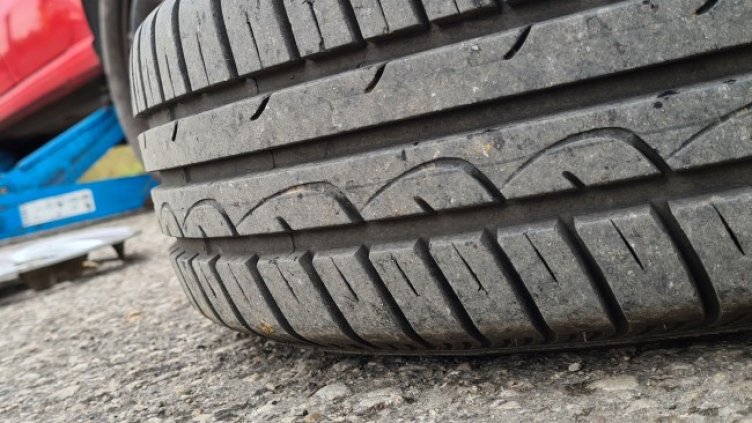 Снимка: БГНЕС, архив