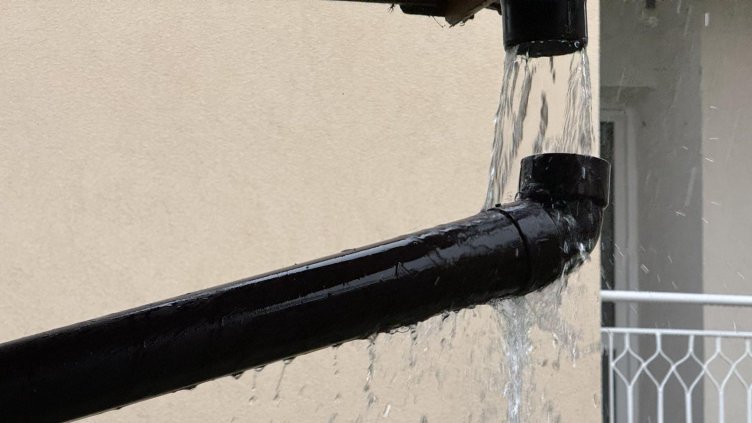 Снимка: архив, БГНЕС