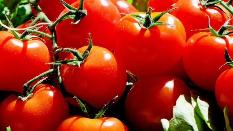 Снимка: Pixabay