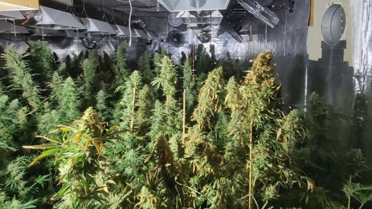 Снимка БГНЕС