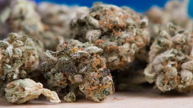 Снимка: Pixabay