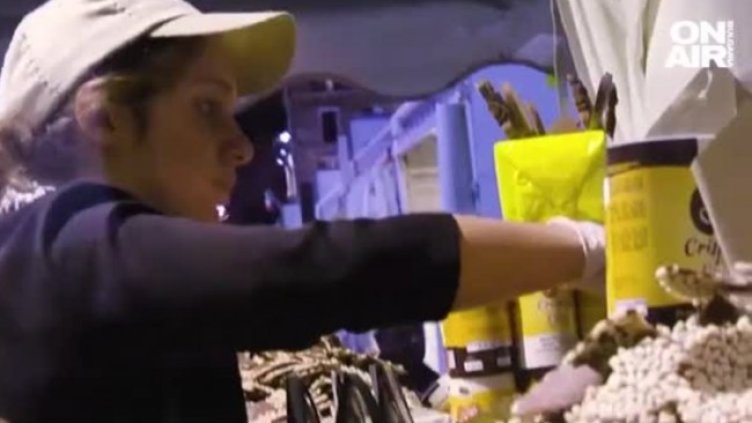 Италия откри Фестивала на шоколада