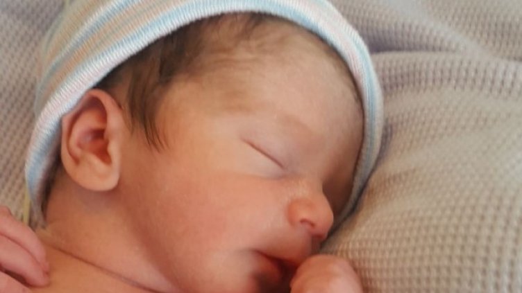 Снимка БГНЕС