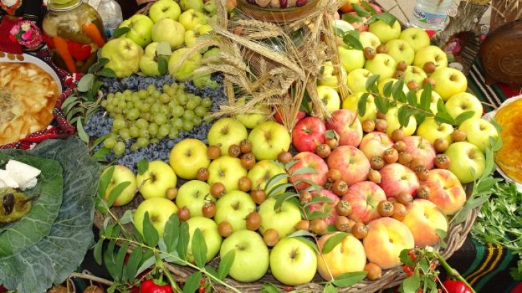 Снимка: архив, БГНЕС