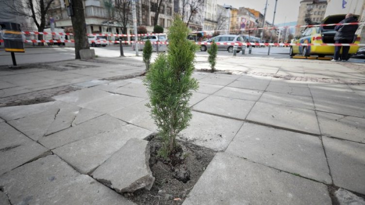 Нова гора никне в сърцето на София, мястото - площад "Света Неделя" 