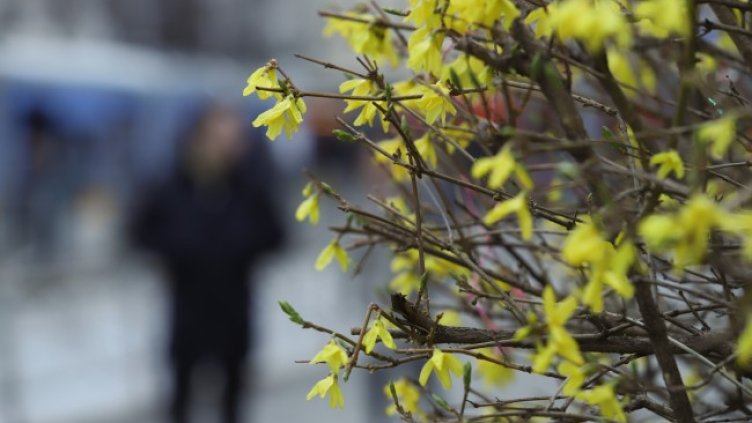 Снимка: БГНЕС, архив