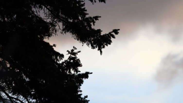 Снимка: архив, БГНЕС