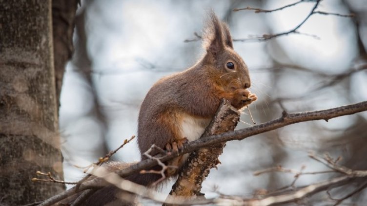 От -5&deg; до 30&deg; през април, средните температури около 10&deg;  - 13&deg;  