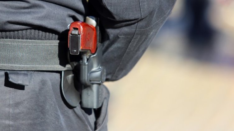 Снимка БГНЕС