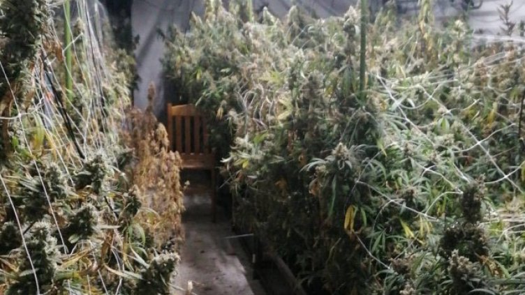 Снимка БГНЕС