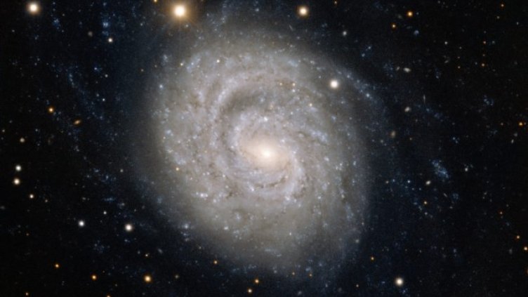 Снимка: архив, БГНЕС