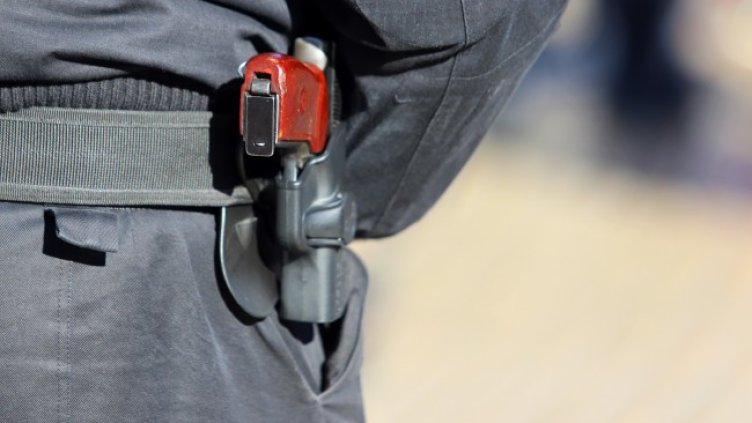 Снимка БГНЕС