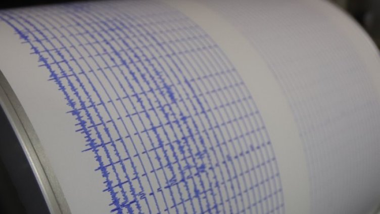 Снимка: архив, БГНЕС