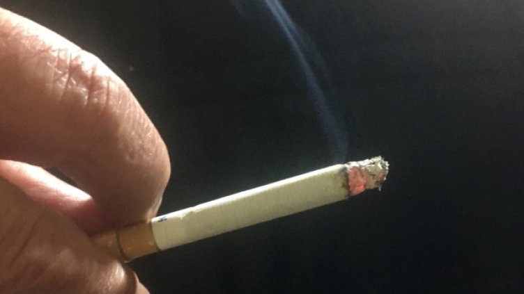 Снимка: архив, БГНЕС