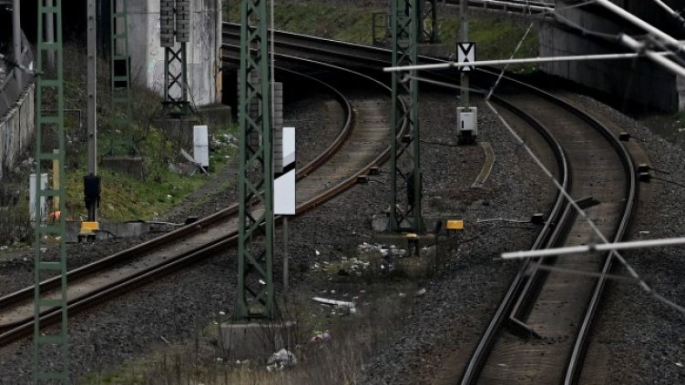 Снимка: архив, БГНЕС