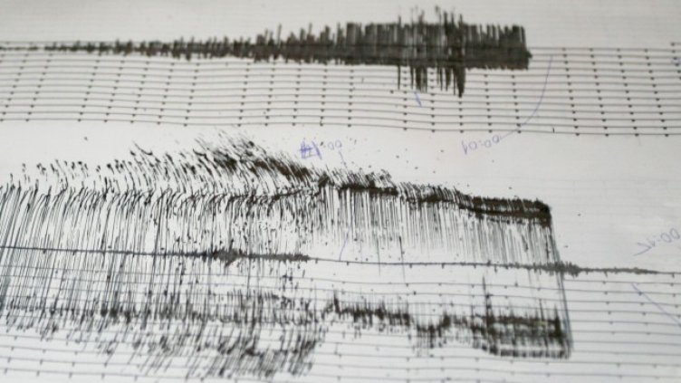 Снимка: архив, БГНЕС