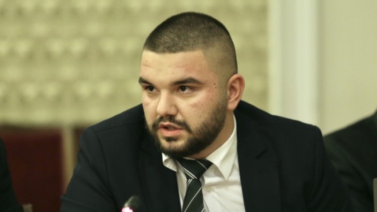 Снимка: архив, БГНЕС