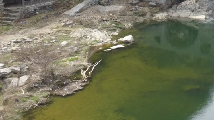 Снимка: БГНЕС, архив