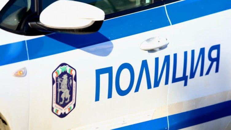 Снимка: архив, БГНЕС