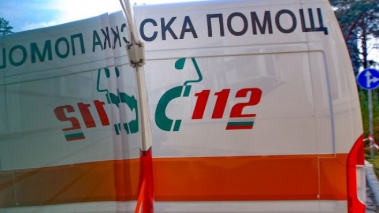 Снимка: Димитър Кьосемарлиев, Dnes.bg