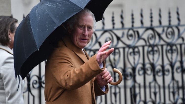 Снимка: архив, БГНЕС