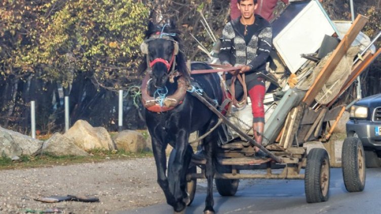 Снимка БГНЕС