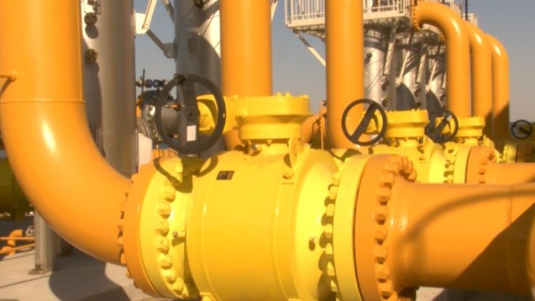 Снимка: архив, БГНЕС