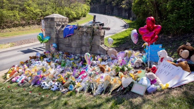 Снимка: архив, БГНЕС