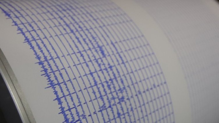 Снимка: архив, БГНЕС