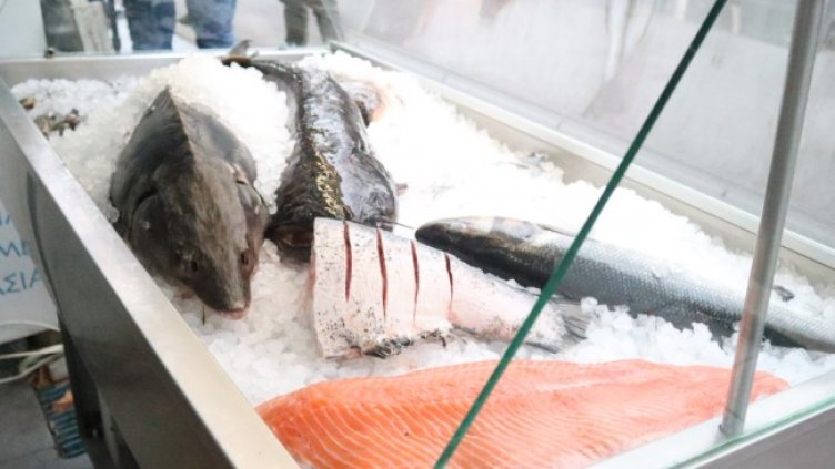 Снимка БГНЕС