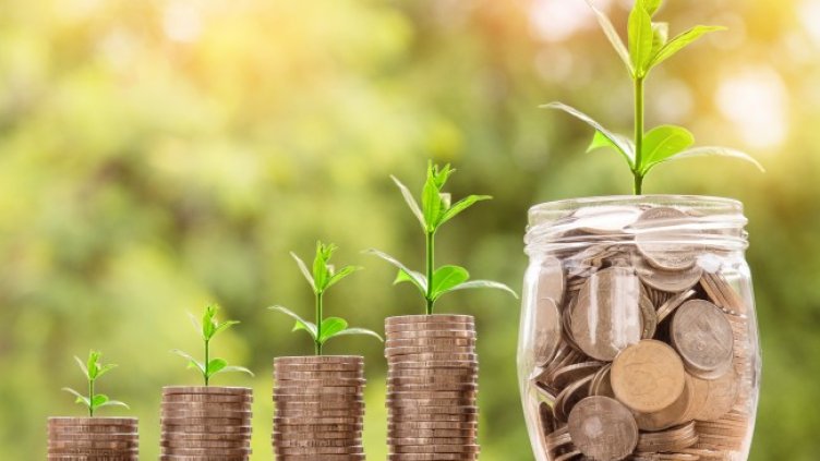 Снимка: Pixabay