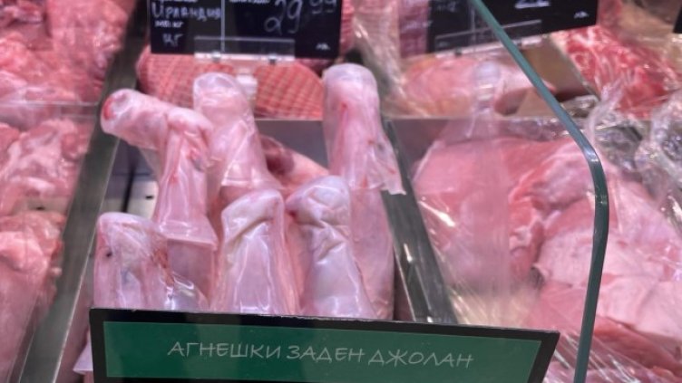 Снимка БГНЕС