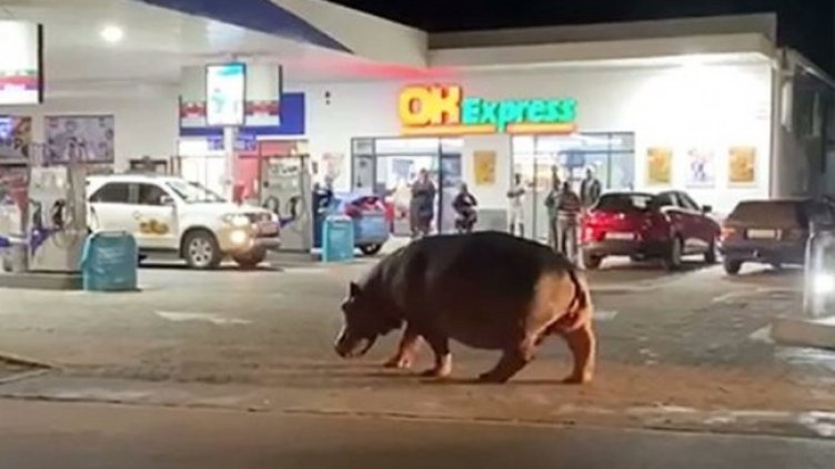 Снимка: Twitter