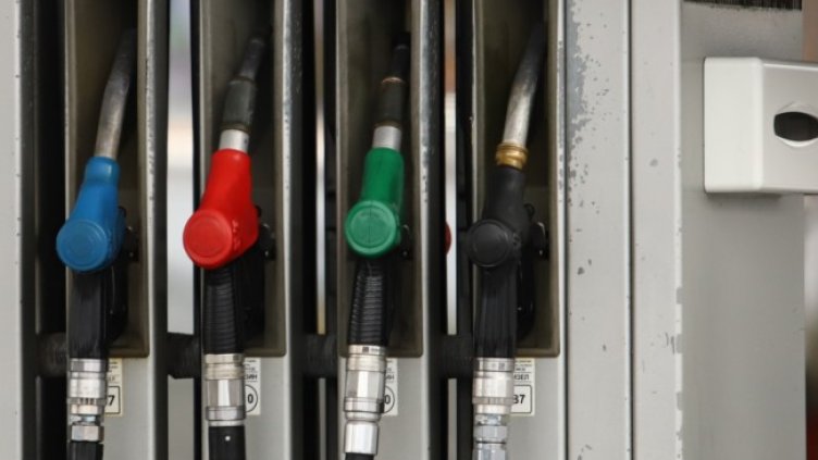 Снимка: архив, БГНЕС