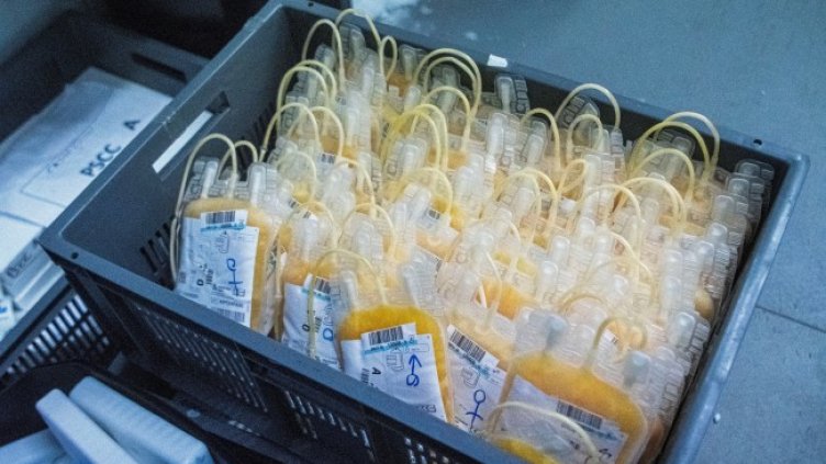 Снимка: архив, БГНЕС