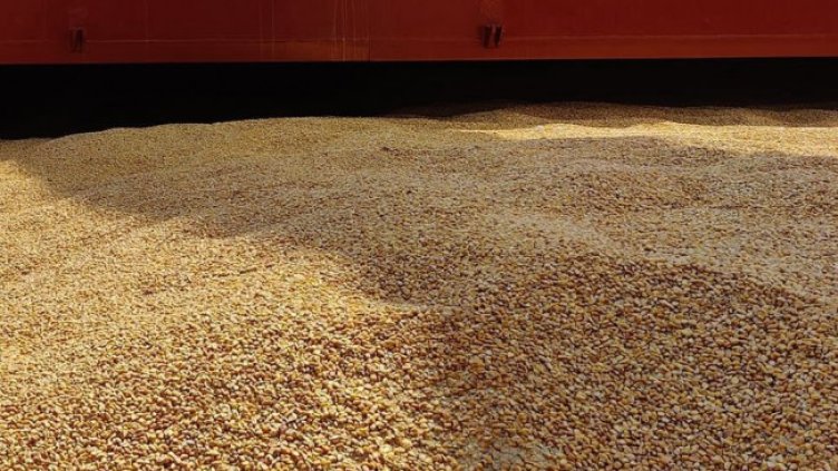 Снимка: архив, БГНЕС