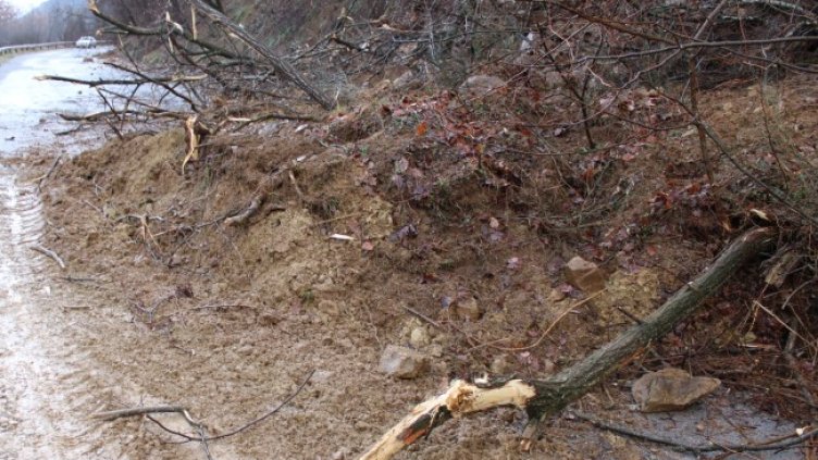 Снимка: БГНЕС, архив