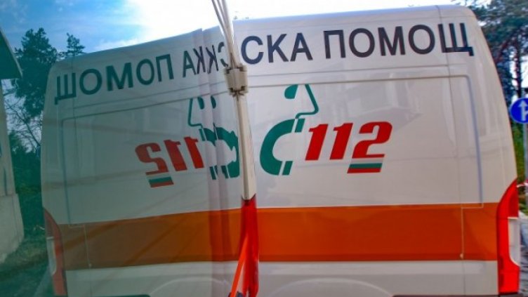 Снимка: Димитър Кьосемарлиев, Dnes.bg