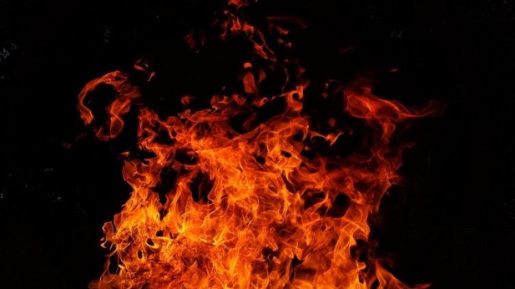 Снимка: Pixabay/RonaldPlett