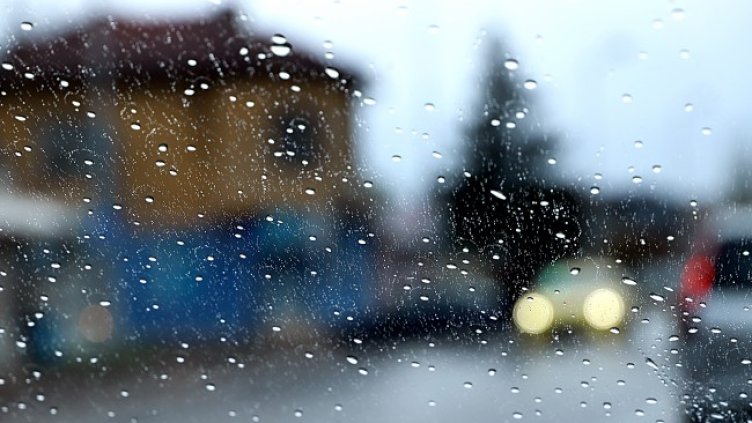 Снимка: архив, БГНЕС