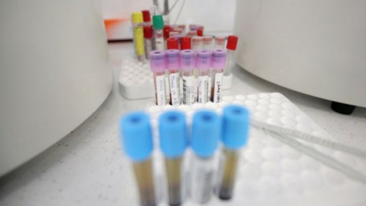 Снимка: Димитър Кьосемарлиев