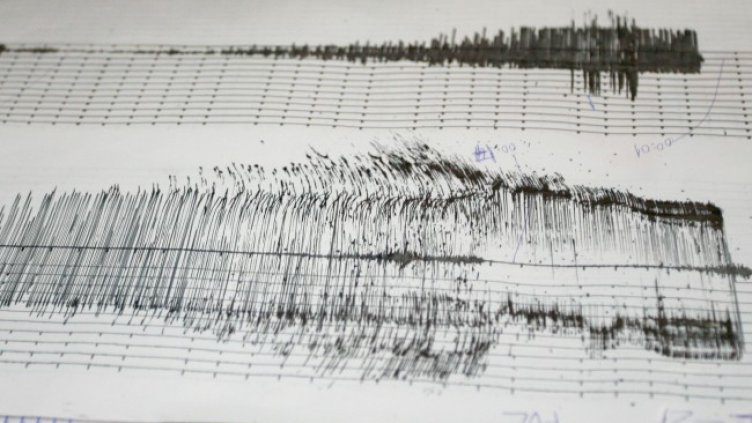 Снимка: архив, БГНЕС