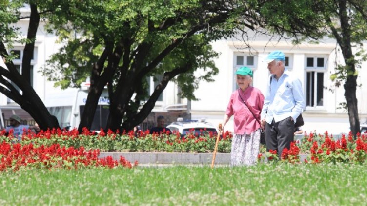 Снимка: БГНЕС