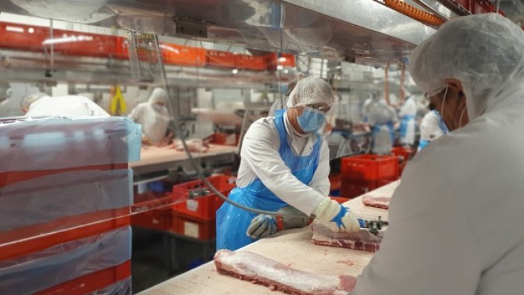 Снимка: архив, БГНЕС