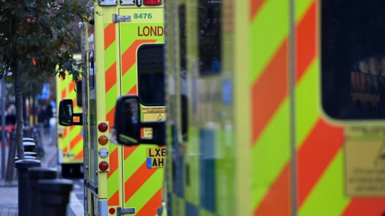 Снимка: архив, БГНЕС